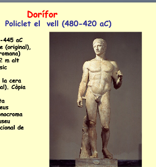 Dorífor | Recurso educativo 33434