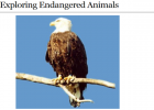 Webquest: Exploring endangered animals | Recurso educativo 35060