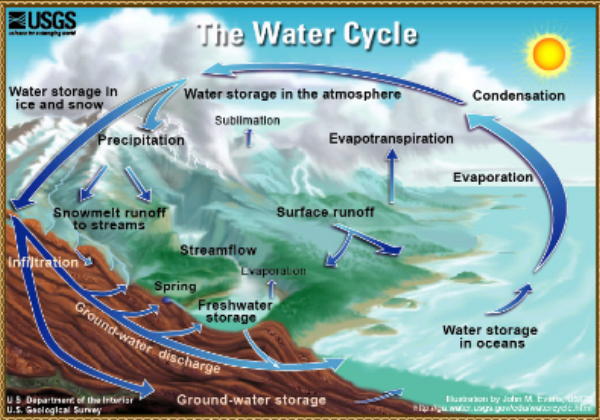 Webquest: The water cycle | Recurso educativo 35408