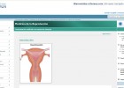 La inseminació artificial | Recurso educativo 35896