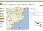 Banc de Dades de Biodiversitat de Catalunya | Recurso educativo 36151