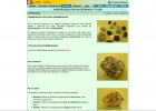 Rocas sedimentarias | Recurso educativo 36198