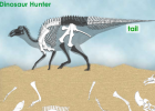 Dinosaur hunter | Recurso educativo 41293