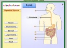 Digestive system game | Recurso educativo 41752
