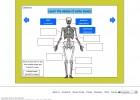 Skeleton | Recurso educativo 42134