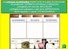 Los animales invertebrados | Recurso educativo 47493