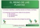 Las plantas | Recurso educativo 51584