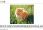 Webquest: Responsibilities of pet ownership | Recurso educativo 51698