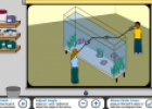 Through the fish tank | Recurso educativo 53437