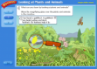 Plants and animals | Recurso educativo 58921