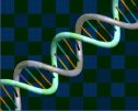 El ADN | Recurso educativo 60228