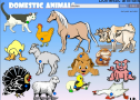 Domestic animals | Recurso educativo 61823