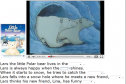 The little polar bear | Recurso educativo 10074