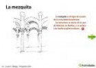 Juego didáctico sobre la Mezquita. | Recurso educativo 14049