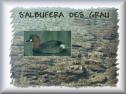 s'Albufera des Grau | Recurso educativo 20337