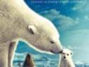 Los reyes del Ártico | Recurso educativo 26171