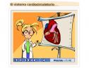 El aparato circulatorio | Recurso educativo 26833