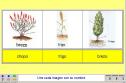 Las plantas | Recurso educativo 4092