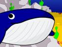 Blue Whale | Recurso educativo 5354