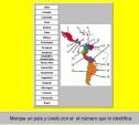 Geografía latinoamericana | Recurso educativo 5557
