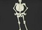 Vídeo: el esqueleto humano | Recurso educativo 6544