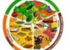 Software: Historia de los Alimentos | Recurso educativo 8237