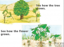 Story: How it grows | Recurso educativo 63060