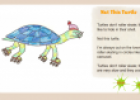Not this turtle | Recurso educativo 66513
