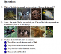 Invertebrates quiz | Recurso educativo 67587