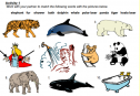 Environment and animals | Recurso educativo 70488
