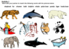Environment and animals | Recurso educativo 70488
