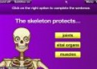 Skeletons and bones activity | Recurso educativo 71486