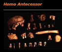 Homo Antecessor | Recurso educativo 79179