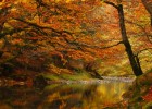 Los ocho mejores lugares para disfrutar del otoño (FOTOS) | Recurso educativo 108646