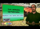 Los animales vertebrados. | Recurso educativo 108725