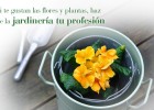 Curso de Jardinería práctica | MasSaber | Recurso educativo 113995