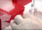 Biotecnología | Vídeo Educativo | Aplicaciones de la biotecnología | Recurso educativo 676556
