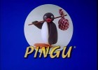 Pingu | Recurso educativo 687647