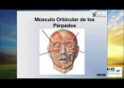 WEBINAR - Micro - expresiones Faciales I. | Recurso educativo 688293