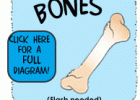 Your Bones | Recurso educativo 725172