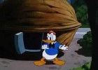 Donald Duck vs Chip & Dale - All In A Nutshell [HQ] | Recurso educativo 739273