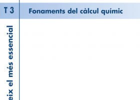 T. 03 Fonaments del càlcul químic | Recurso educativo 755482