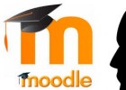 modle.jpg | Recurso educativo 757934