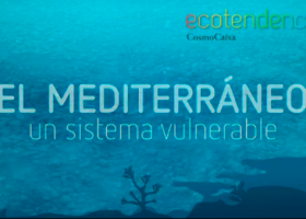 El Mediterráneo un sistema vulnerable | Recurso educativo 761245