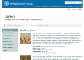 Cereals i grans | Recurso educativo 761496