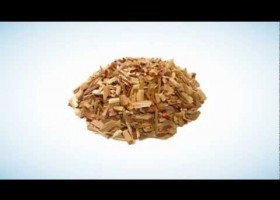 What is Biomass? | Recurso educativo 762419
