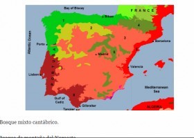 Biomas en España | Recurso educativo 775492