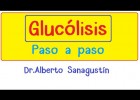 La glucólisis | Recurso educativo 755786