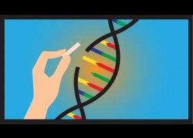 ¿Qué es CRISPR/Cas9? | Recurso educativo 788594