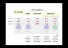 Teoria neutral de l'evolució | Recurso educativo 789476